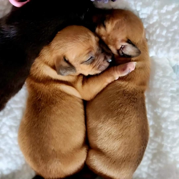 Meet your Posher, Bryn - Picture 7 of 17